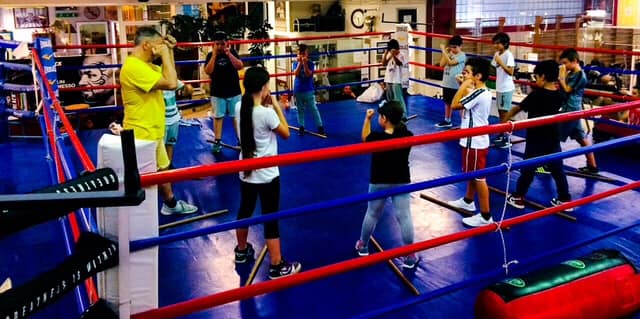 Sportforma Boxe Under 12
